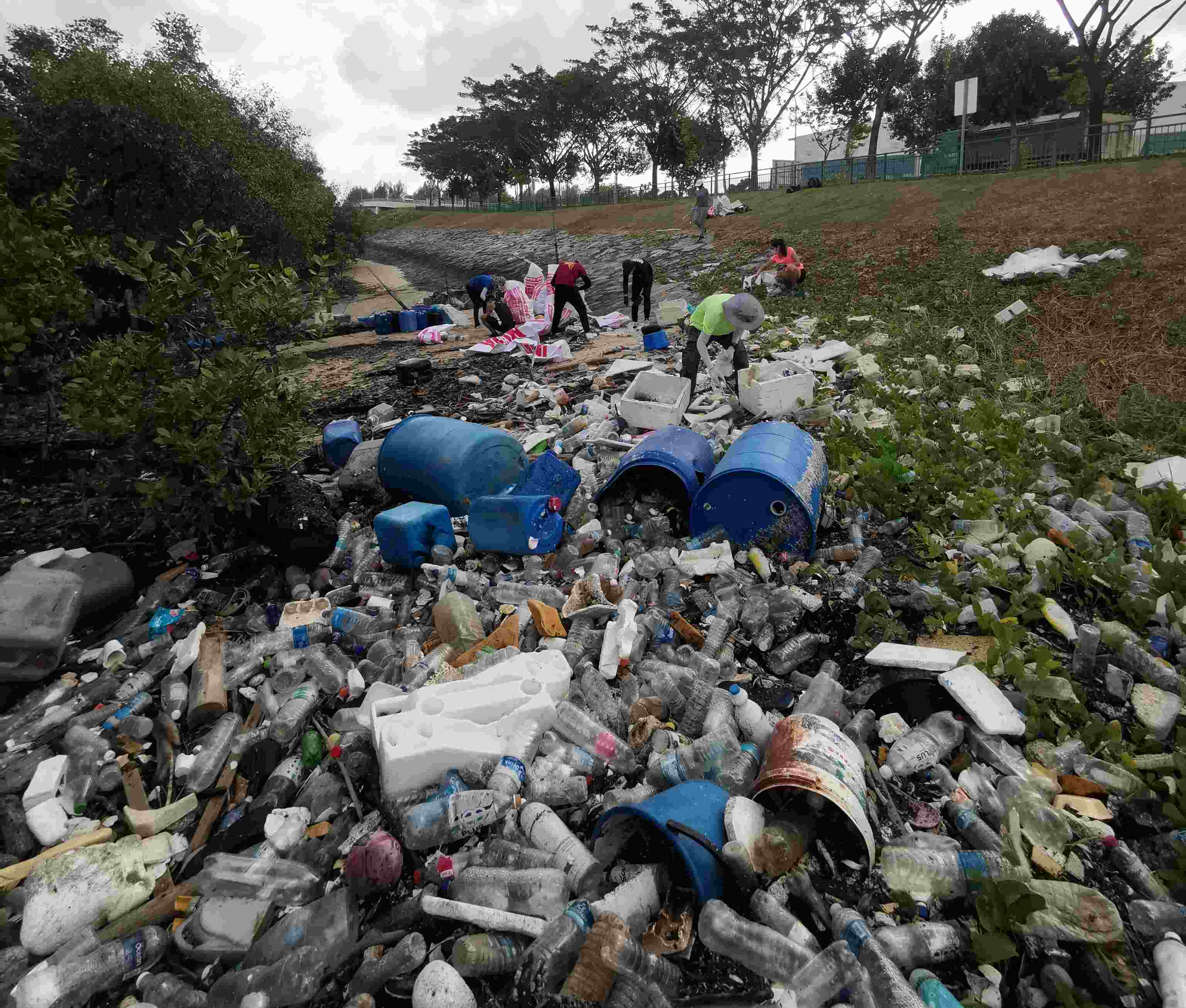 Litter by litter, he's been cleaning up Singapore's beaches every